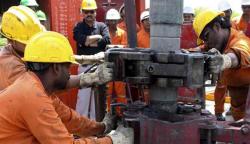 Индия стремясь инвестировать в нефтехимические проекты в Иране: министр Индии